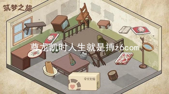 尊龙凯时人生就是搏z6com