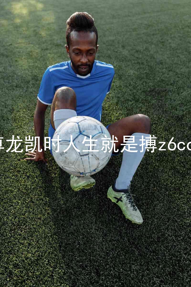 尊龙凯时人生就是搏z6com