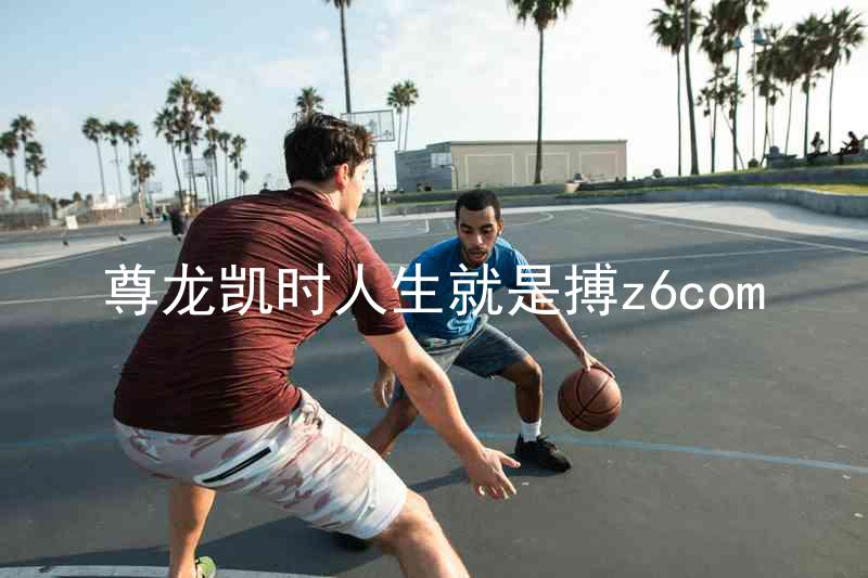 尊龙凯时人生就是搏z6com