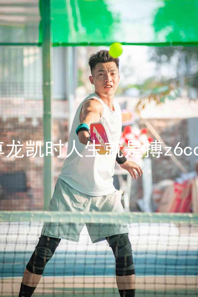尊龙凯时人生就是搏z6com