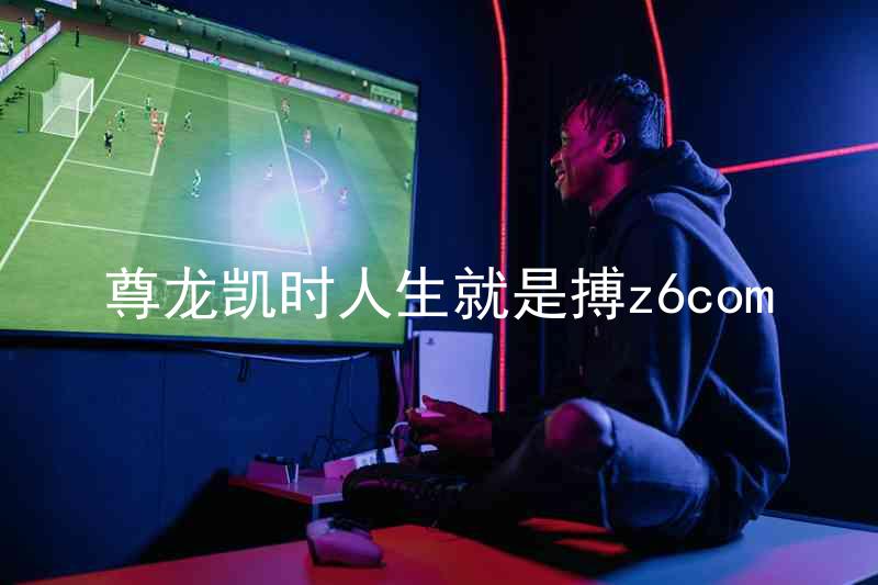 尊龙凯时人生就是搏z6com