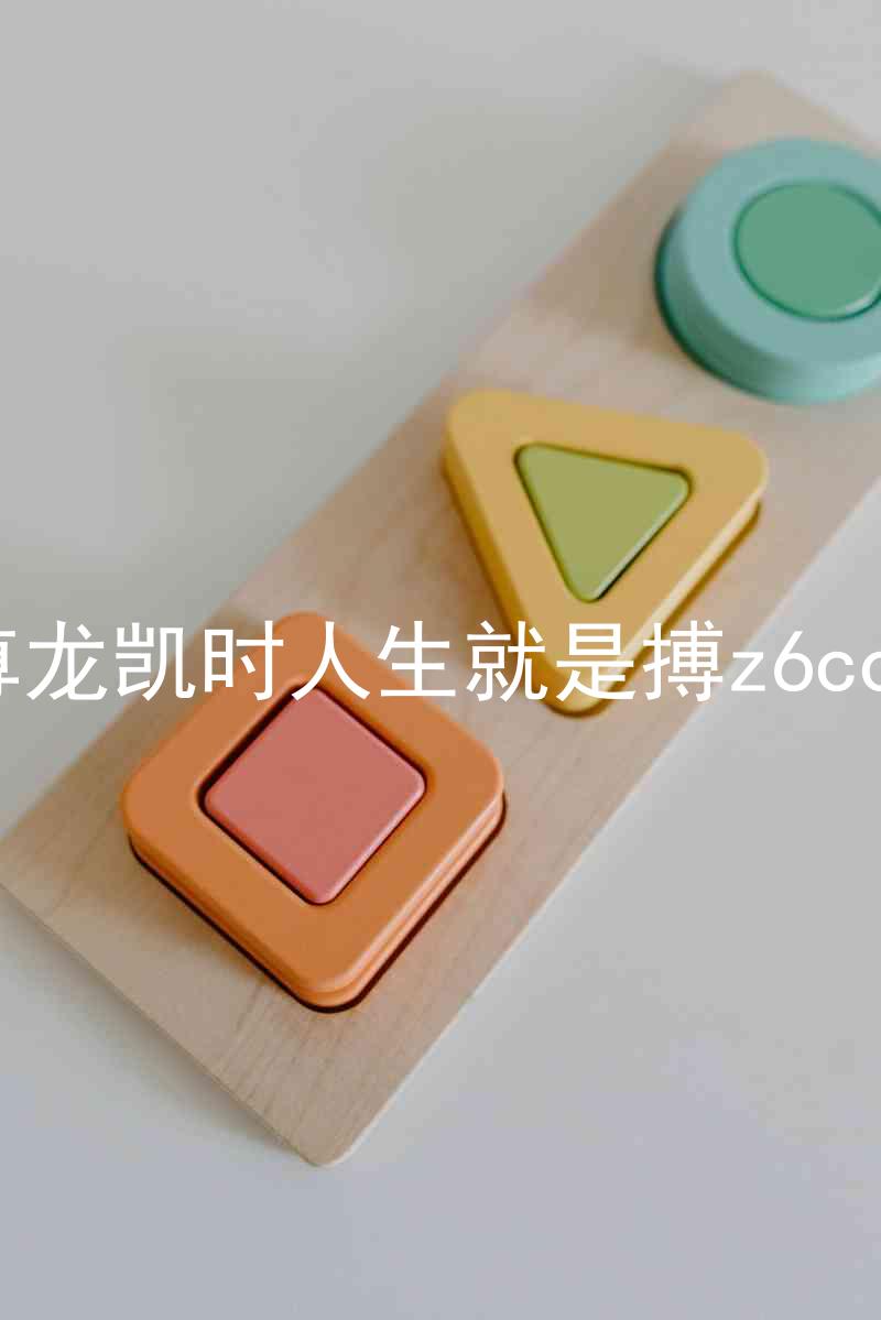 尊龙凯时人生就是搏z6com