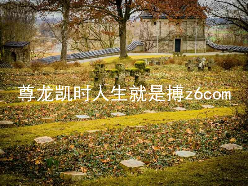 尊龙凯时人生就是搏z6com