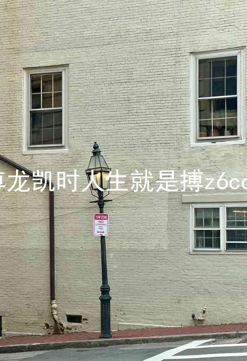 尊龙凯时人生就是搏z6com