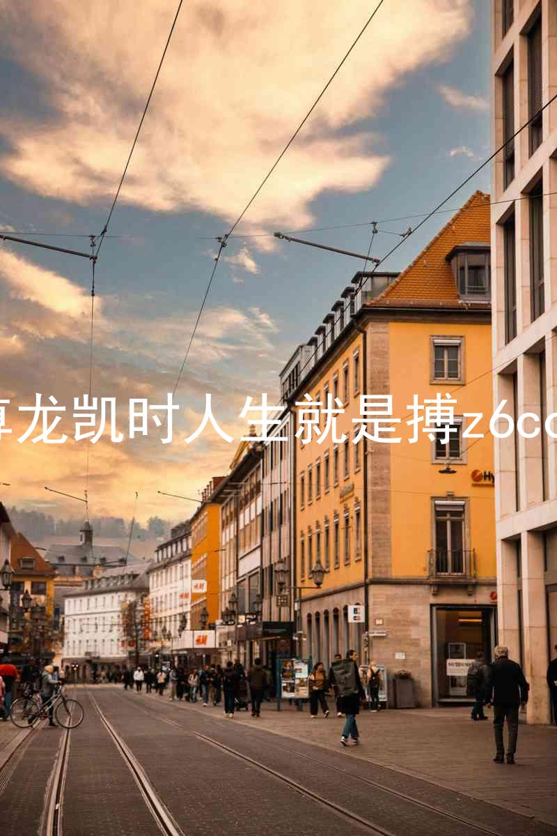 尊龙凯时人生就是搏z6com